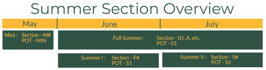 Summer Section Overview