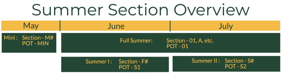 Summer Section Overview
